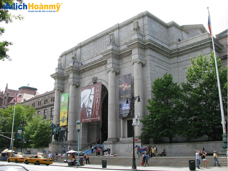 Bảo tàng Lịch Sử Tự nhiên – Khám phá “kho báu của New York”