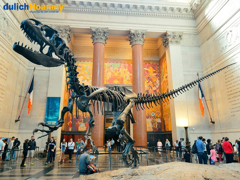 Bộ xương khủng long ở bảo tàng Lịch sử tự nhiên