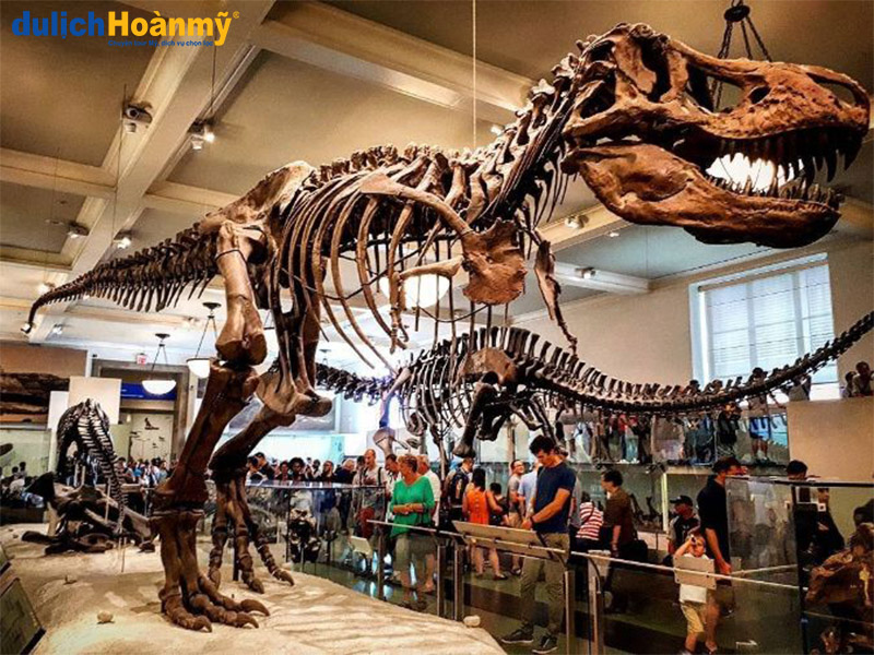 Chú khủng long thời Cổ đại trong bảo tàng