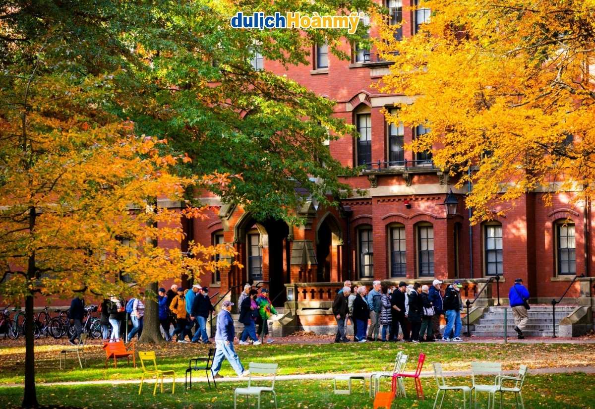 Khám phá Thành Phố Boston - Trái tim cổ kính của nước Mỹ 6 đại học harvard