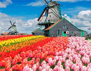 5 địa điểm không thể bỏ qua khi du lịch đến Amsterdam, Hà Lan - Du lịch Hoàn Mỹ