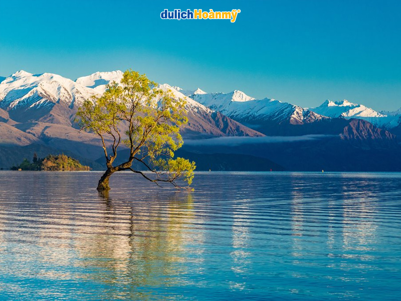 Đôi nét về hồ Tekapo Đôi nét về hồ Tekapo