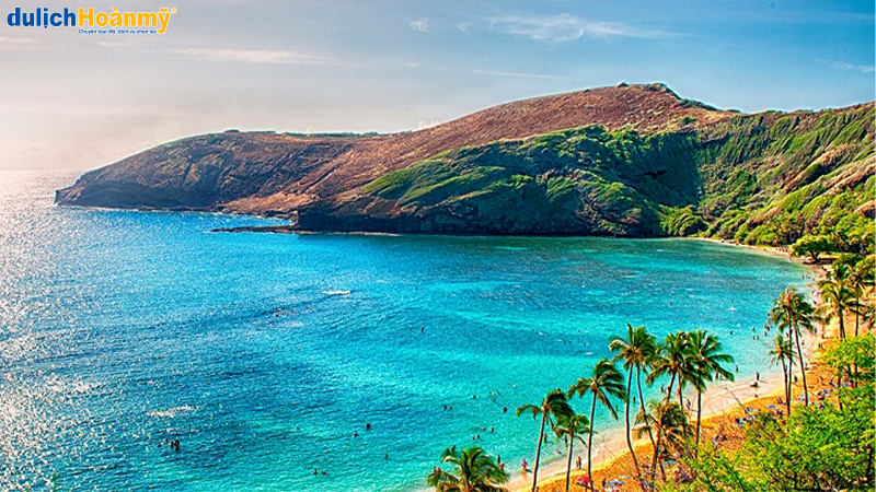Du Lịch Hawaii: Khám Phá Đảo Hawaii Muôn Màu