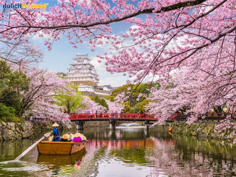 Lễ hội hoa anh đào vào mùa xuân ở Nhật