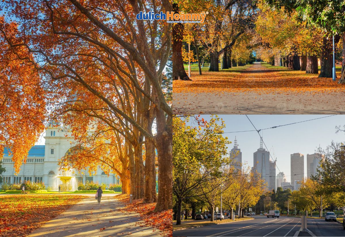 Du lịch Melbourne: Khám phá thành phố đáng sống nhất thế giới 10 mùa thu ở Melbourne