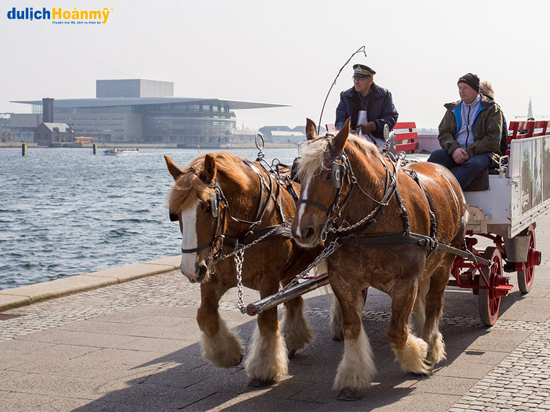 Những chiếc xe ngựa kéo độc đáo tại kênh đào Nyhavn