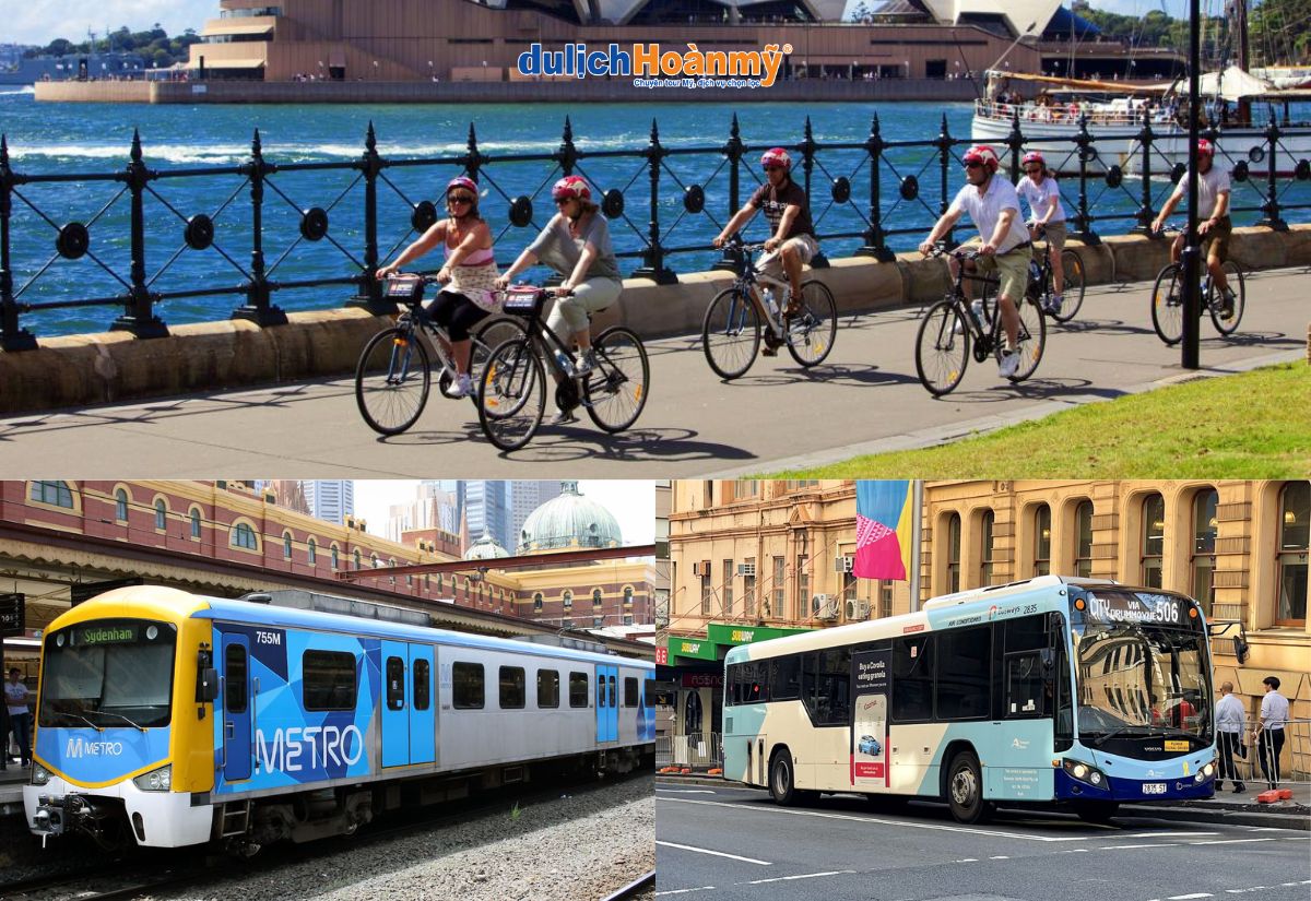 Du lịch Sydney: Khám phá thành phố đáng sống nhất nước Úc 3 phương tiện di chuyển trong thành phố
