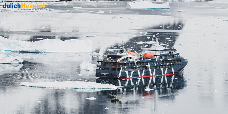 Du lịch Nam Cực: Trải nghiệm và khám phá vùng đất lạnh giá
