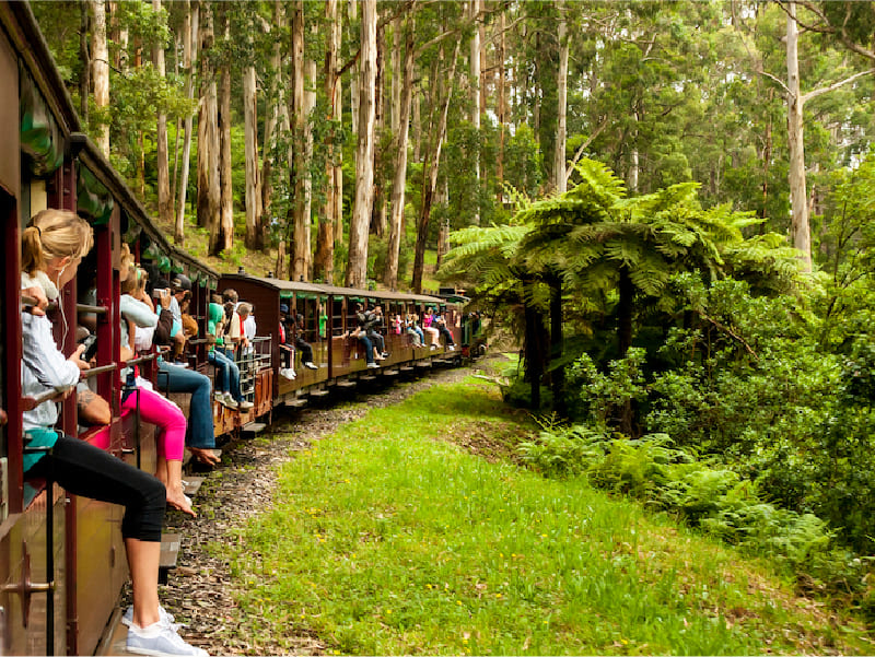 Trải nghiệm tàu lửa hơi nước kiểu Úc (Puffing Billy)