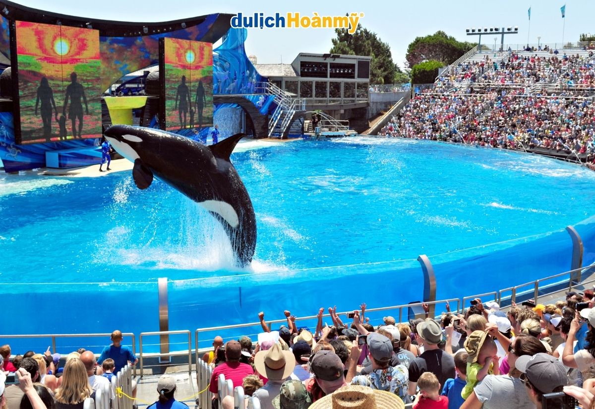 San Diego - Khám phá Thành phố biển xinh đẹp Nam California 7 seaworld san diego