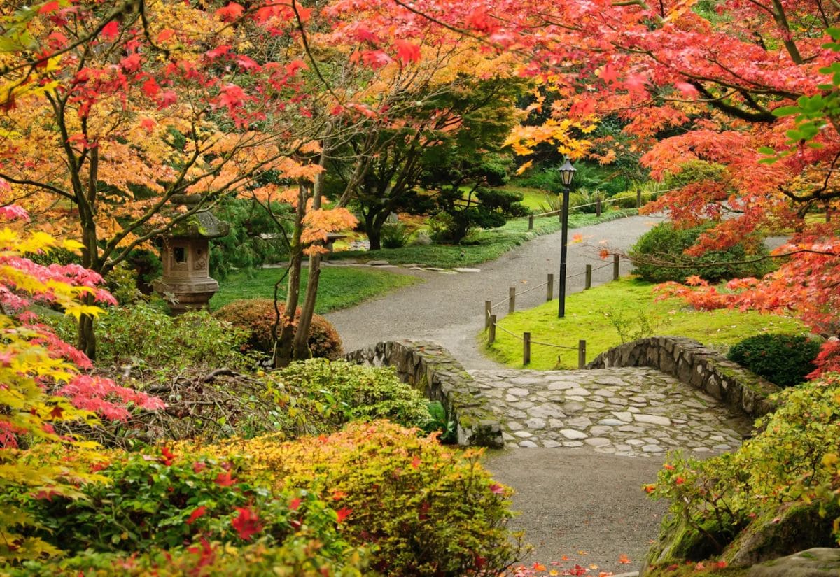 Seattle ở đâu? Kinh nghiệm du lịch Seattle chi tiết từ A-Z 2 Mùa thu Seattle - thời điểm lý tưởng để du lịch Seattle tháng 9-10