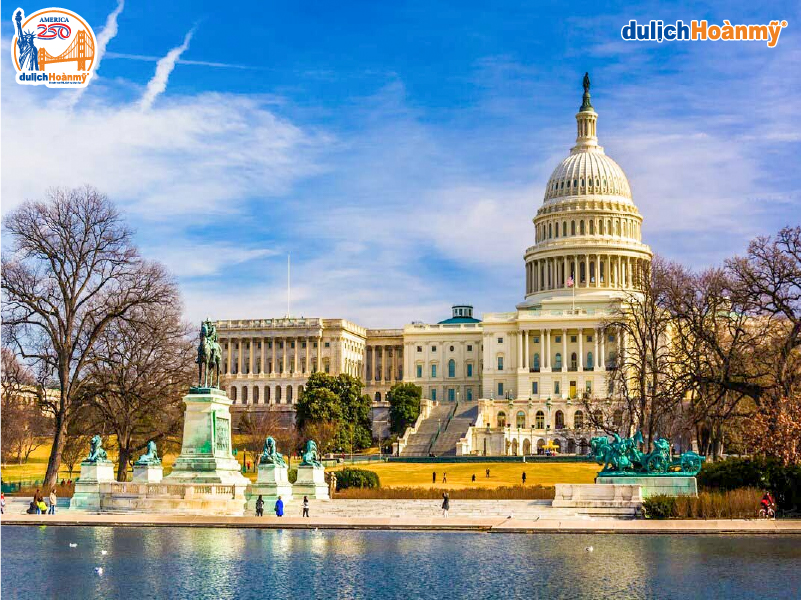 Washington D.C-100