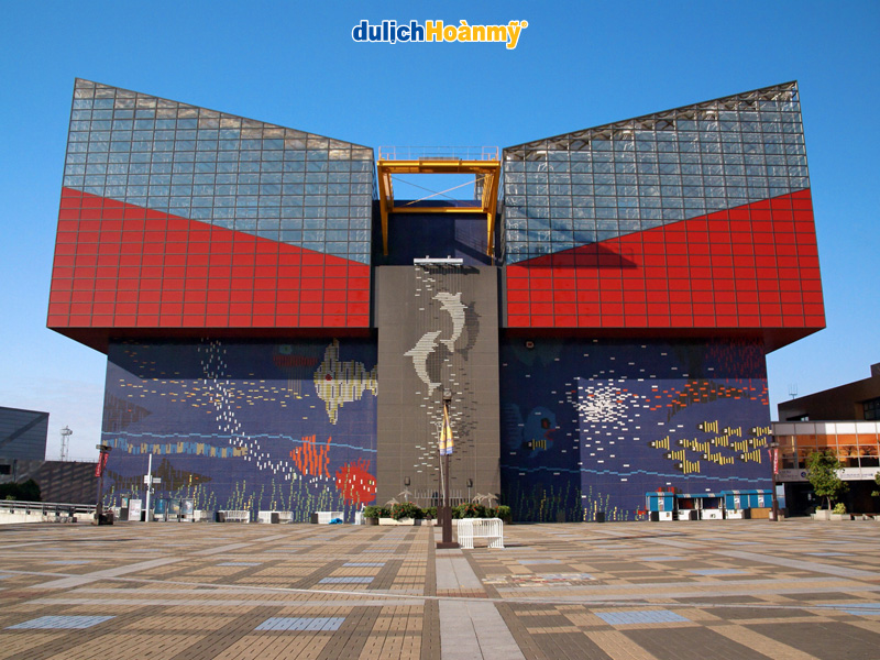 Thủy cung Kaiyukan Osaka - đại dương thu nhỏ nổi tiếng tại Nhật Bản 1 vai net gioi thieu ve thuy cung kaiyukan osaka