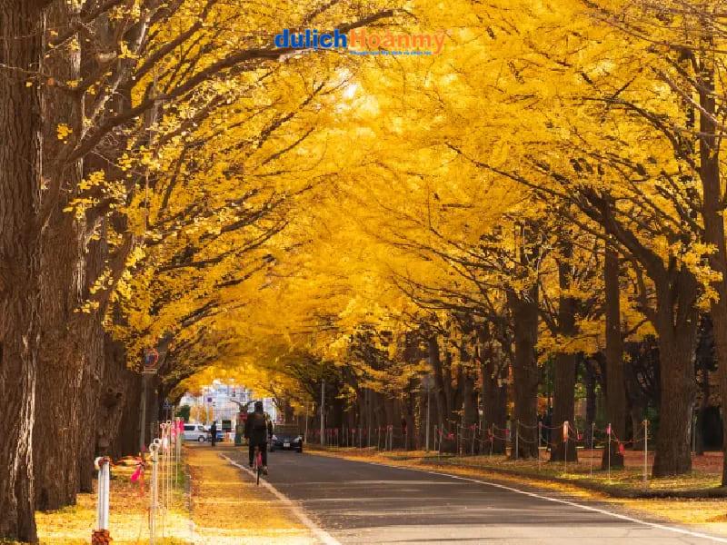 Đại học Hokkaido-100