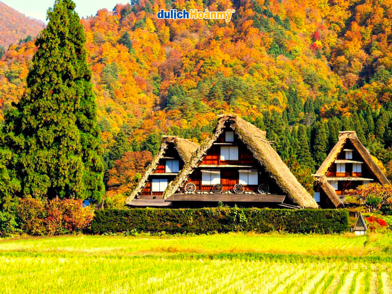 Làng Shirakawa-go ngập tràn sắc thu Làng Shirakawa-go ngập tràn sắc thu