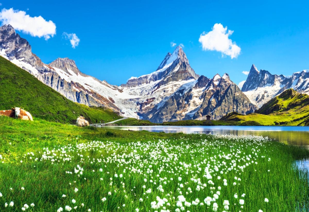 Dãy Alps là gì? Ở đâu? Khám phá Alps Thụy Sĩ chi tiết nhất 1 Ngắm trọn những đỉnh núi phủ tuyết trắng xóa tại dãy núi Anpơ Thụy Sĩ