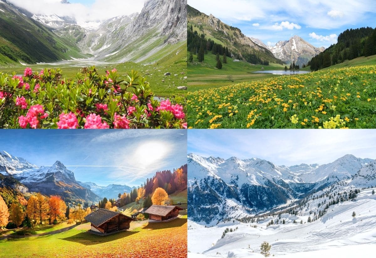 Dãy Alps là gì? Ở đâu? Khám phá Alps Thụy Sĩ chi tiết nhất 16 Thiên nhiên bốn mùa đa dạng tại dãy Alps Thụy Sĩ