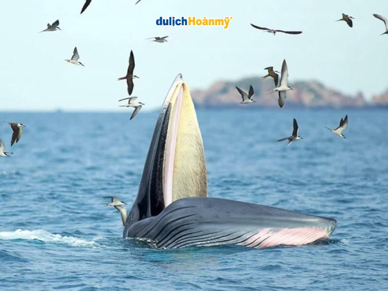du lich greenland iceland faroe island