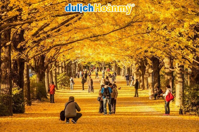Hành trình mùa thu Hokkaido: Ngắm lá đỏ Furano và khám phá thiên nhiên hùng vĩ 5 Khám phá hành trình mùa thu Hokkaido với lễ hội lá vàng