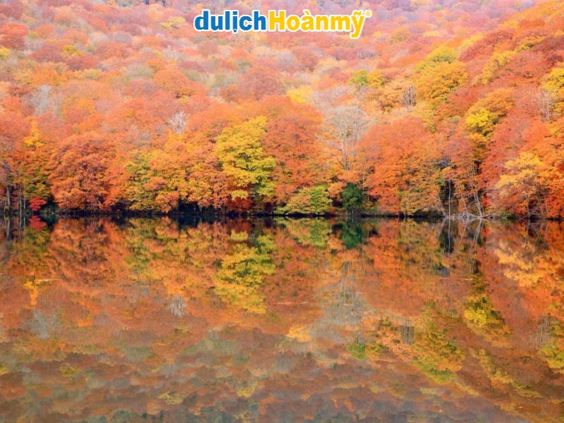 Tour mùa thu Tohoku: Ngắm lá đỏ hồ Towada và khám phá làng cổ Ouchi-juku 2 Mặt nước phản chiếu cảnh sắc rực rỡ của mùa thu tại Tohoku