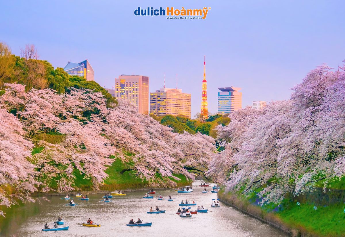 Du lịch Tokyo: Khám phá thủ đô sôi động và hiện đại nhất Nhật Bản 9 công viên ueno