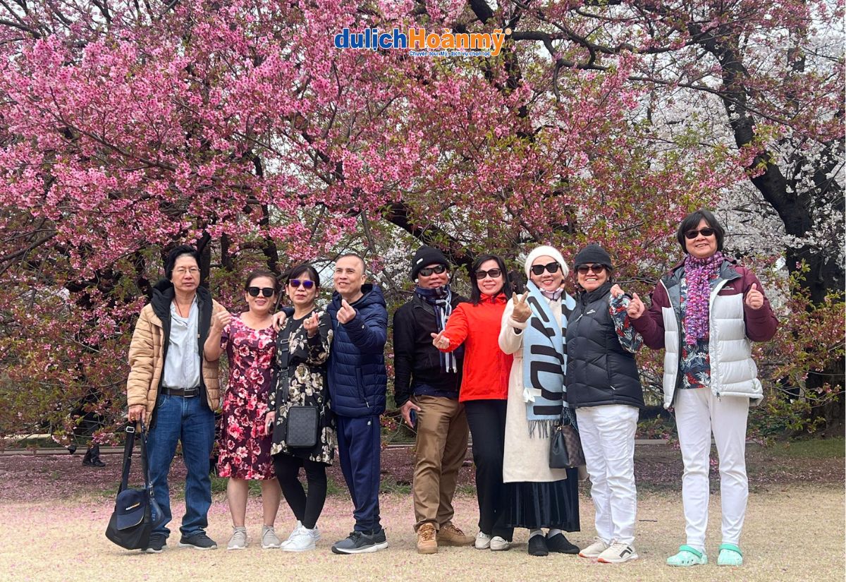 Lễ hội hoa anh đào Hanami Nhật Bản: Nguồn gốc, thời gian và điểm ngắm 7 Đoàn Du lịch Hoàn Mỹ