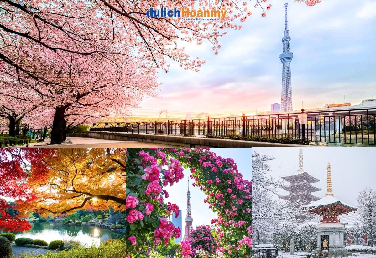 Du lịch Tokyo: Khám phá thủ đô sôi động và hiện đại nhất Nhật Bản 15 Du lịch Tokyo mùa nào đẹp nhất