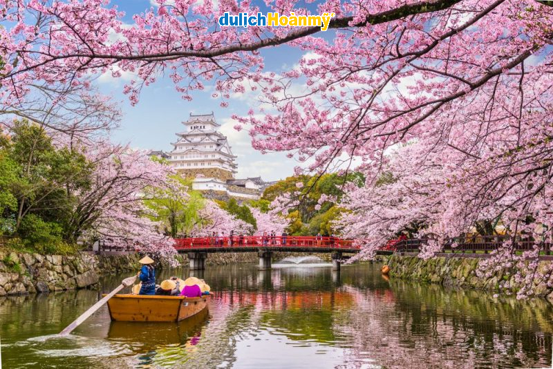 Lễ hội Hoa anh đào Hanami
