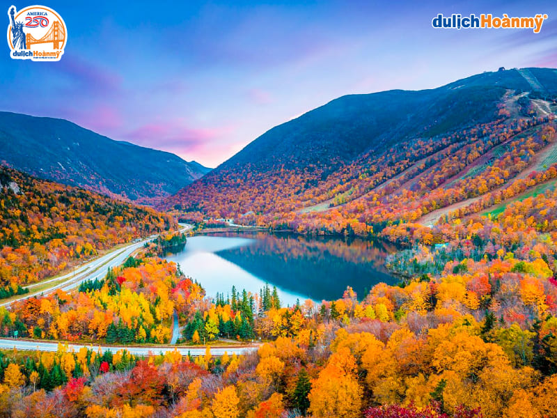 New England-100