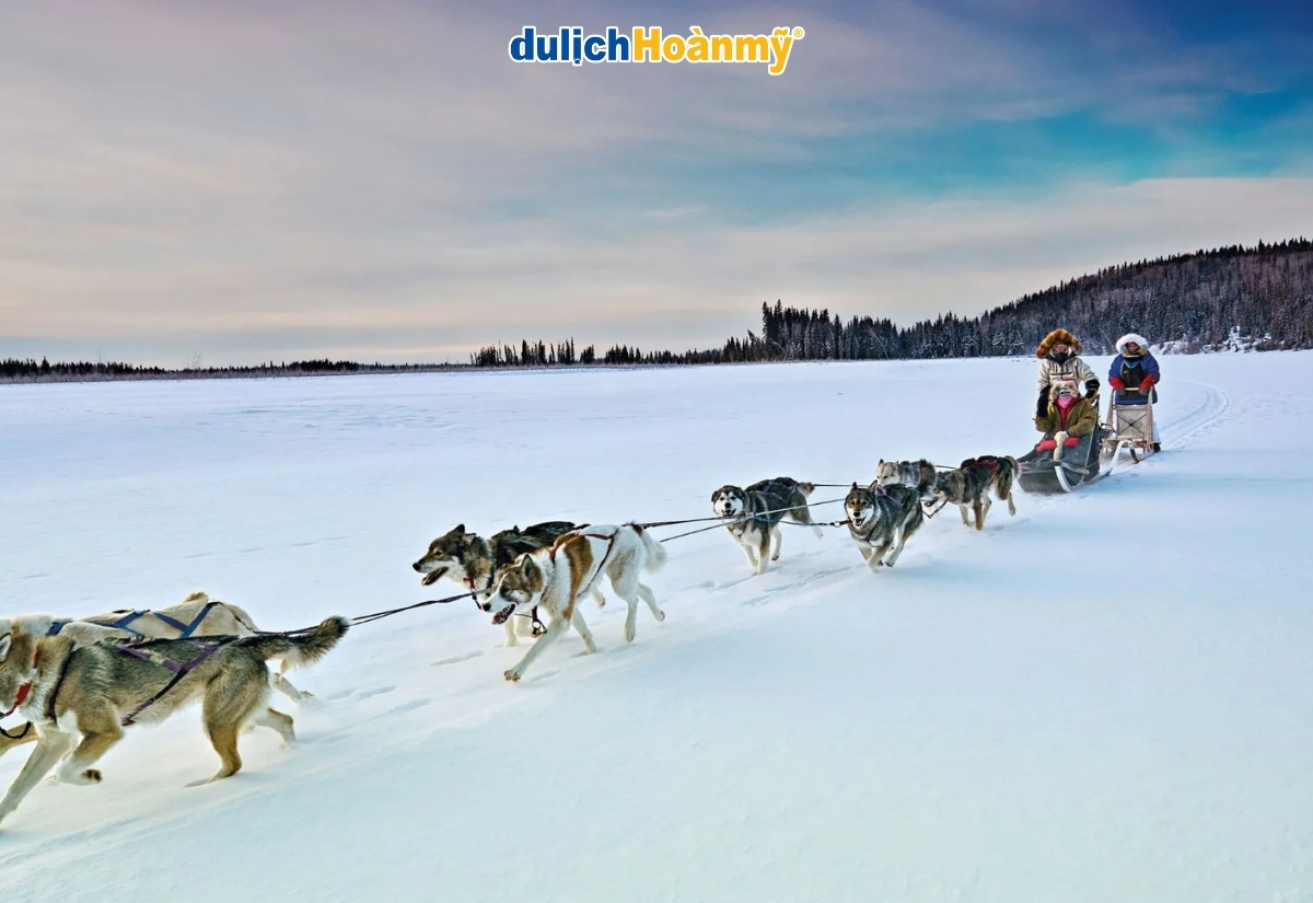 Top 10 địa điểm du lịch mùa đông đáng trải nghiệm nhất 7 Alaska