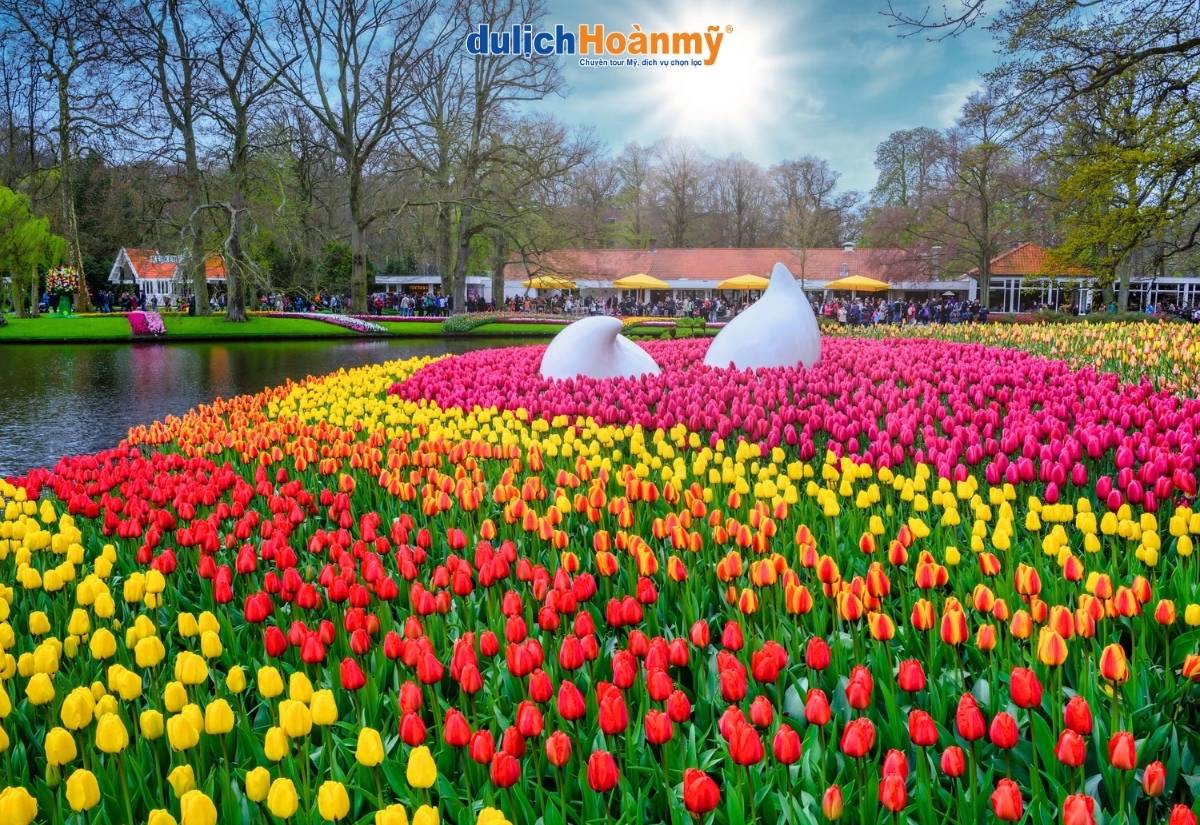 Top các vườn hoa tulip đẹp nhất thế giới nên ghé một lần 1 Vườn Keukenhof