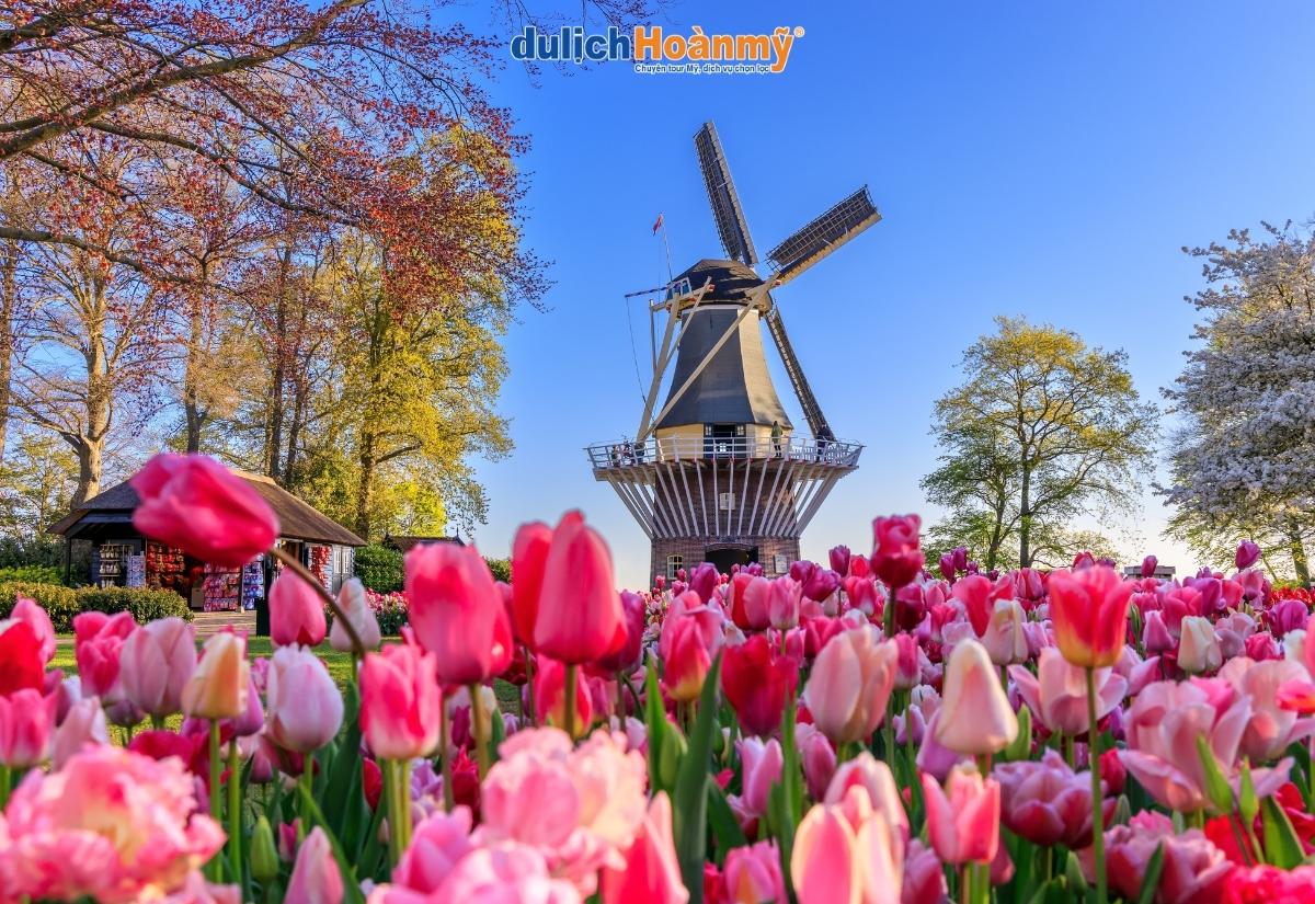 Top các vườn hoa tulip đẹp nhất thế giới nên ghé một lần 2 Vườn hoa Amsterdam