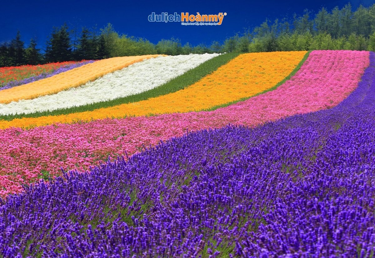 Du lịch Hokkaido