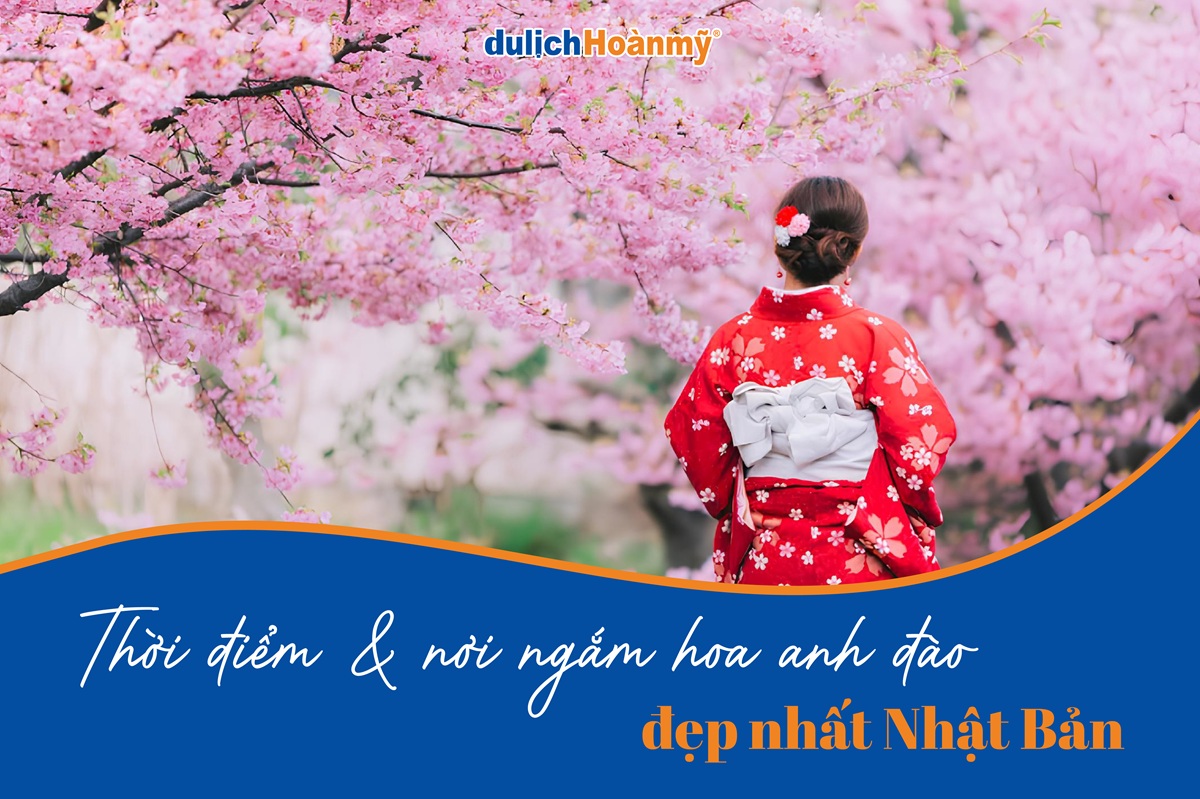 Tổng hợp 17 địa điểm ngắm hoa anh đào Nhật Bản khi du lịch 7 hoa anh đào nhật bản