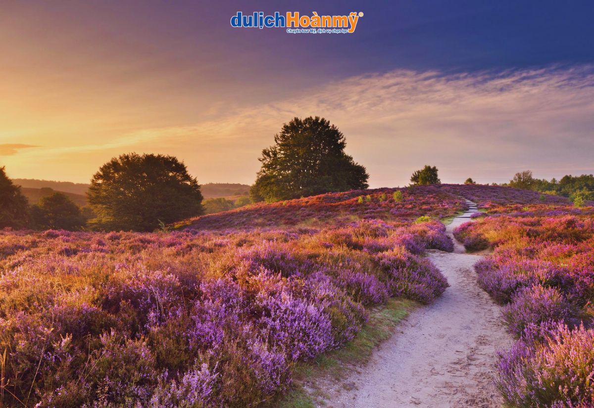 Top 11 cảnh đẹp Hà Lan không nên bỏ lỡ khi đi du lịch 10 Công viên quốc gia Hoge Veluwe