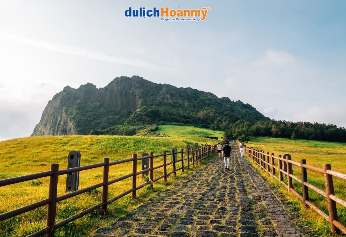 Tất tần tật kinh nghiệm du lịch Hàn Quốc chi tiết nhất 2026 5 đảo Jeju