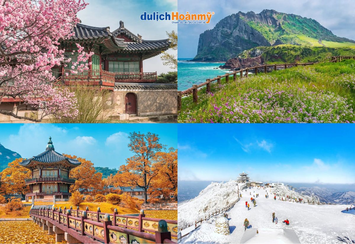Tất tần tật kinh nghiệm du lịch Hàn Quốc chi tiết nhất 2026 1 Nên đi du lịch Hàn Quốc vào mùa nào