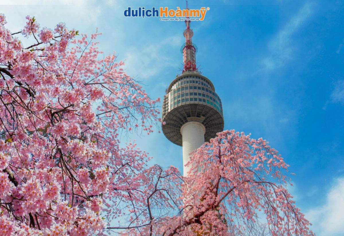 Tất tần tật kinh nghiệm du lịch Hàn Quốc chi tiết nhất 2026 4 Tháp N Seoul