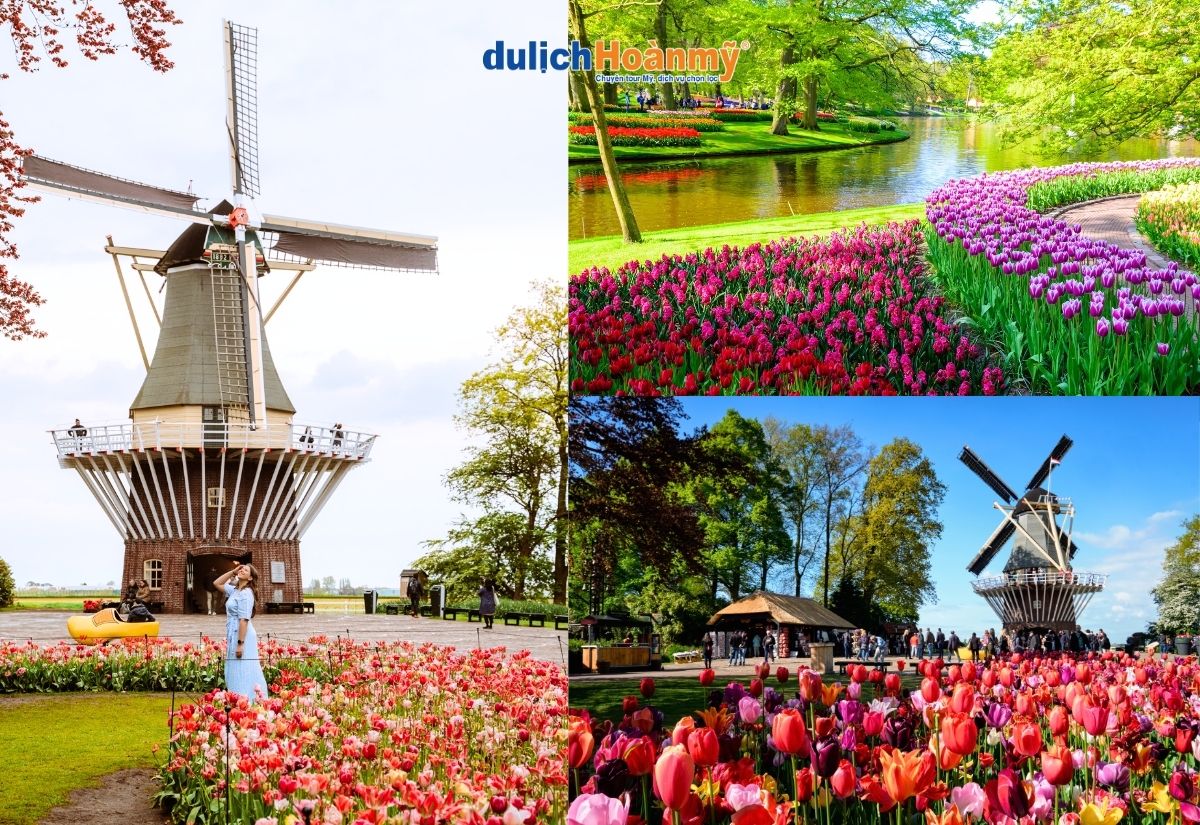 Top 11 cảnh đẹp Hà Lan không nên bỏ lỡ khi đi du lịch 3 Vườn hoa tulip Keukenhof