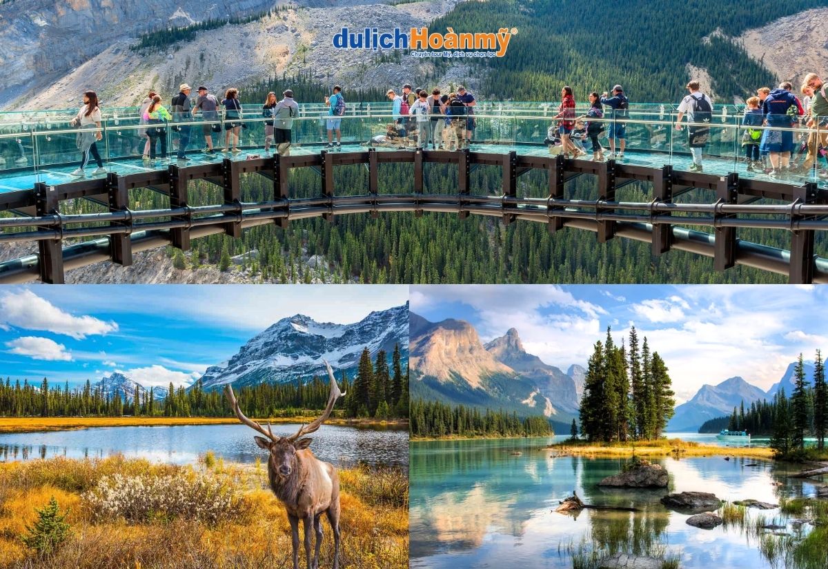 Top 11 địa điểm du lịch Canada đáng trải nghiệm cho du khách Việt 10 Công Viên Quốc Gia Jasper