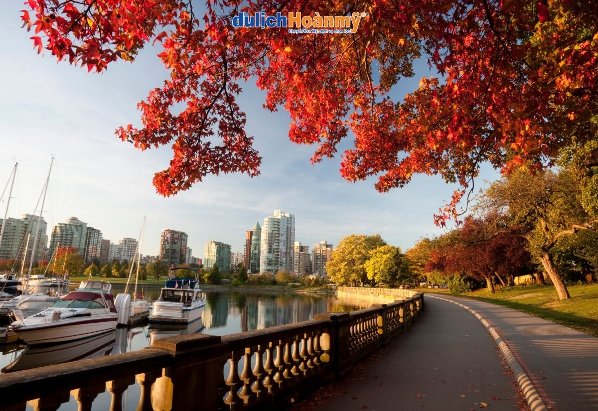Top 11 địa điểm du lịch Canada đáng trải nghiệm cho du khách Việt 7 Công viên Stanley