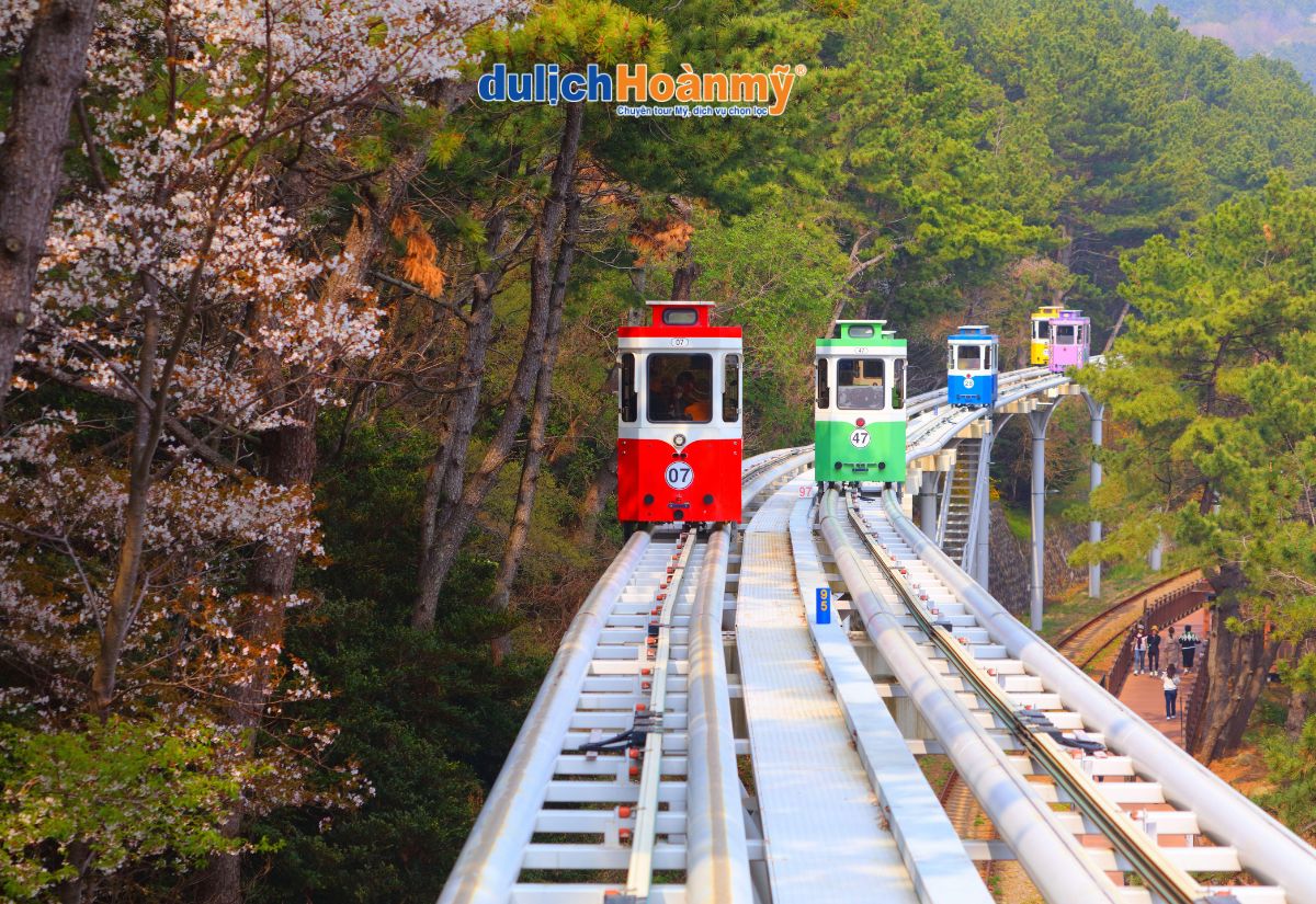 Du Lịch Busan: Kinh nghiệm khám phá thành phố biển Hàn Quốc 8 Haeundae Sky Capsule