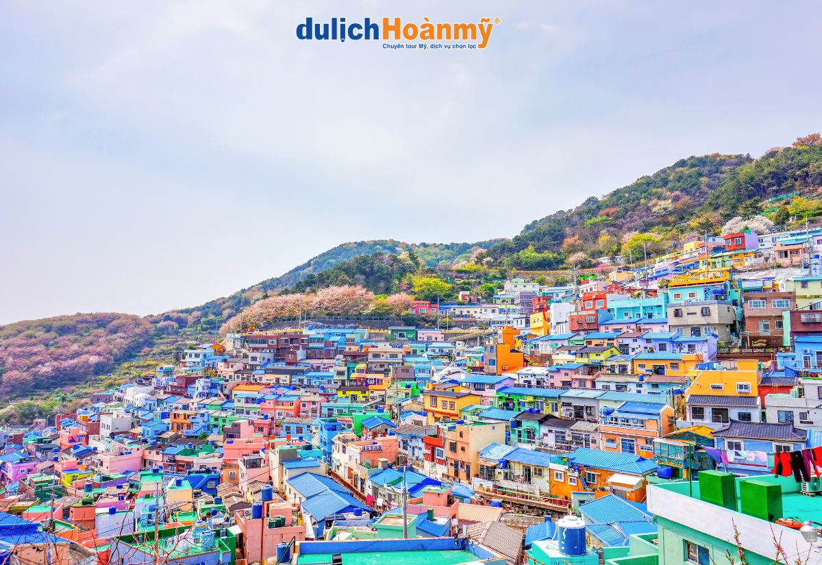 Du Lịch Busan: Kinh nghiệm khám phá thành phố biển Hàn Quốc 4 Làng văn hóa Gamcheon