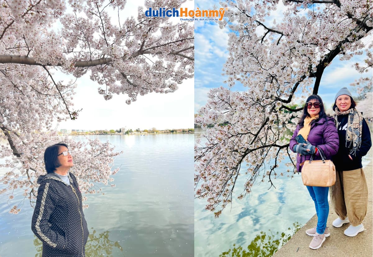 Du lịch Washington DC – Khám phá Nhà Trắng, Capitol & Biểu tượng nước Mỹ 7 hồ Tidal Basin