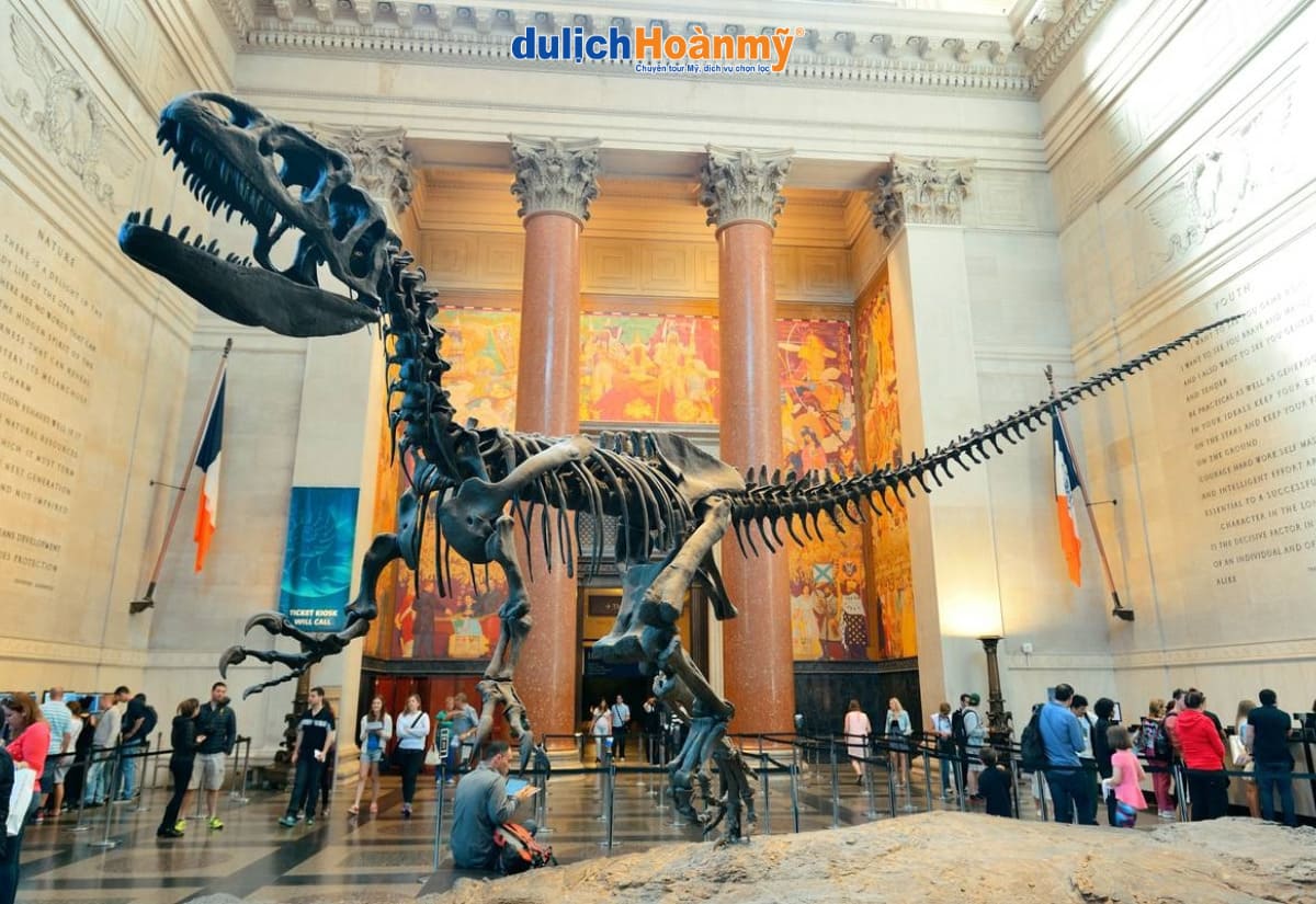 Du lịch Washington DC – Khám phá Nhà Trắng, Capitol & Biểu tượng nước Mỹ 8 Bảo tàng Lịch sử Tự nhiên Quốc gia Hoa Kỳ