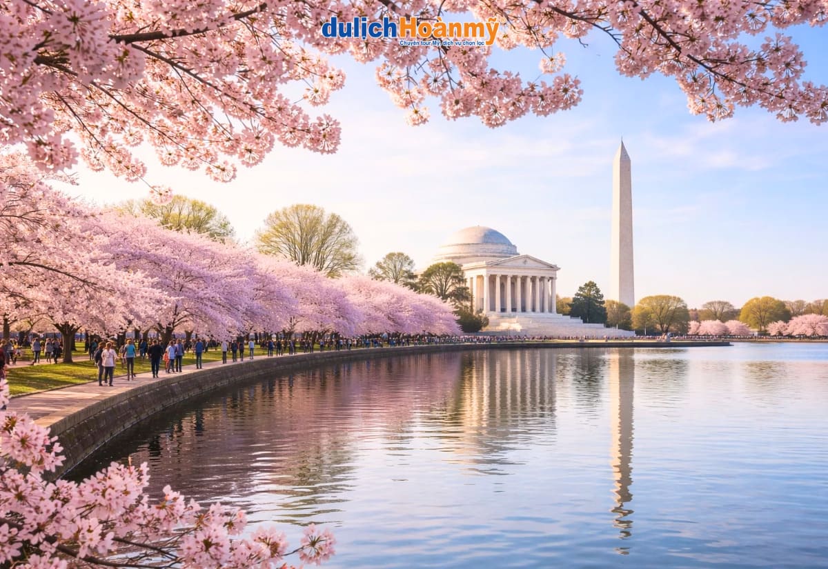 Du lịch Washington DC – Khám phá Nhà Trắng, Capitol & Biểu tượng nước Mỹ 11 Lễ hội hoa anh đào Washington DC
