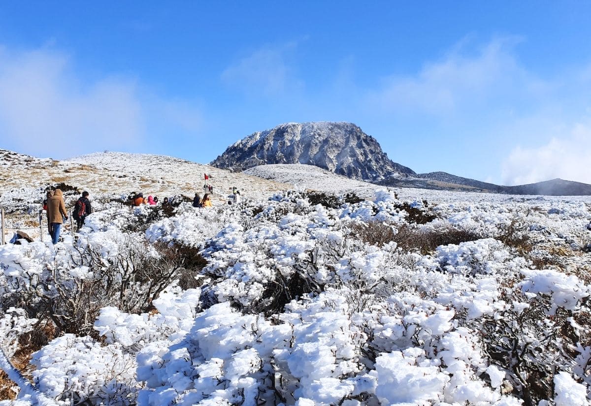 Du lịch Đảo Jeju: Kinh nghiệm khám phá hòn đảo thiên đường của Hàn Quốc 10 Những kinh nghiệm thực tế giúp chuyến đi Jeju