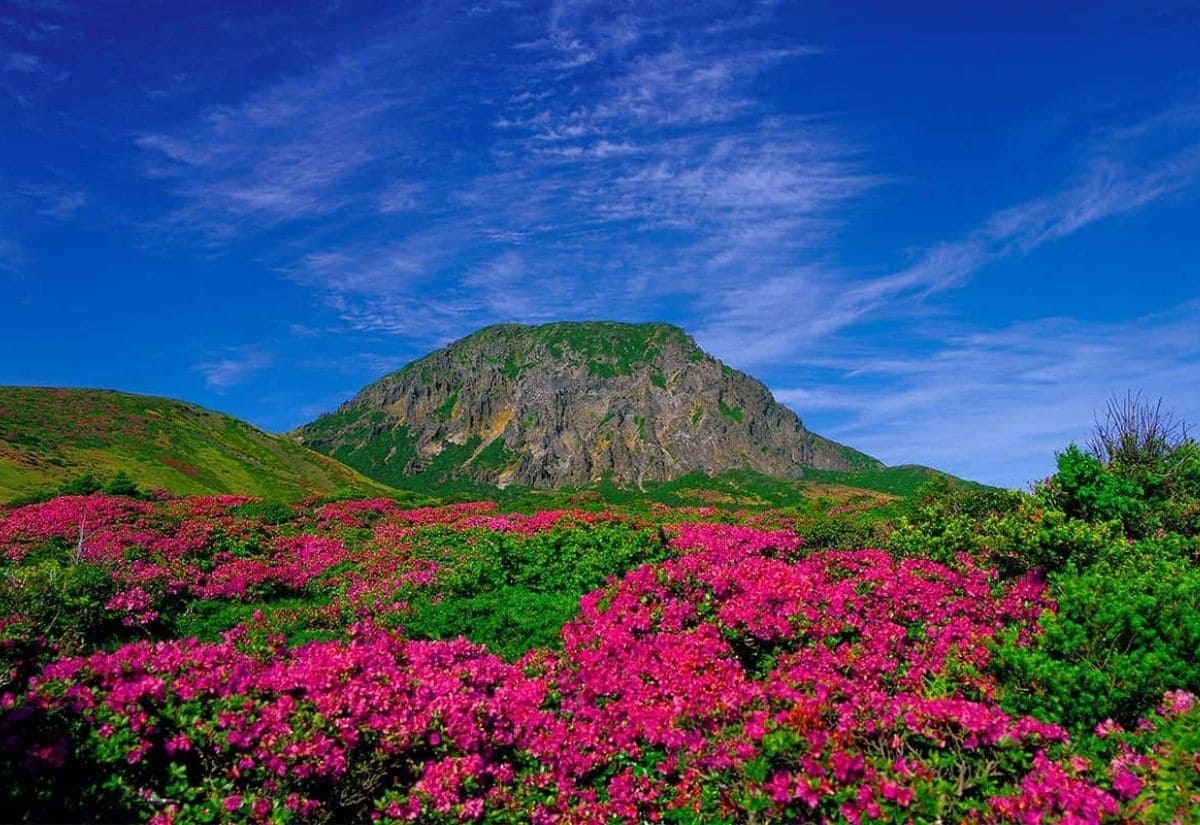 Du lịch Đảo Jeju: Kinh nghiệm khám phá hòn đảo thiên đường của Hàn Quốc 2 núi Hallasan