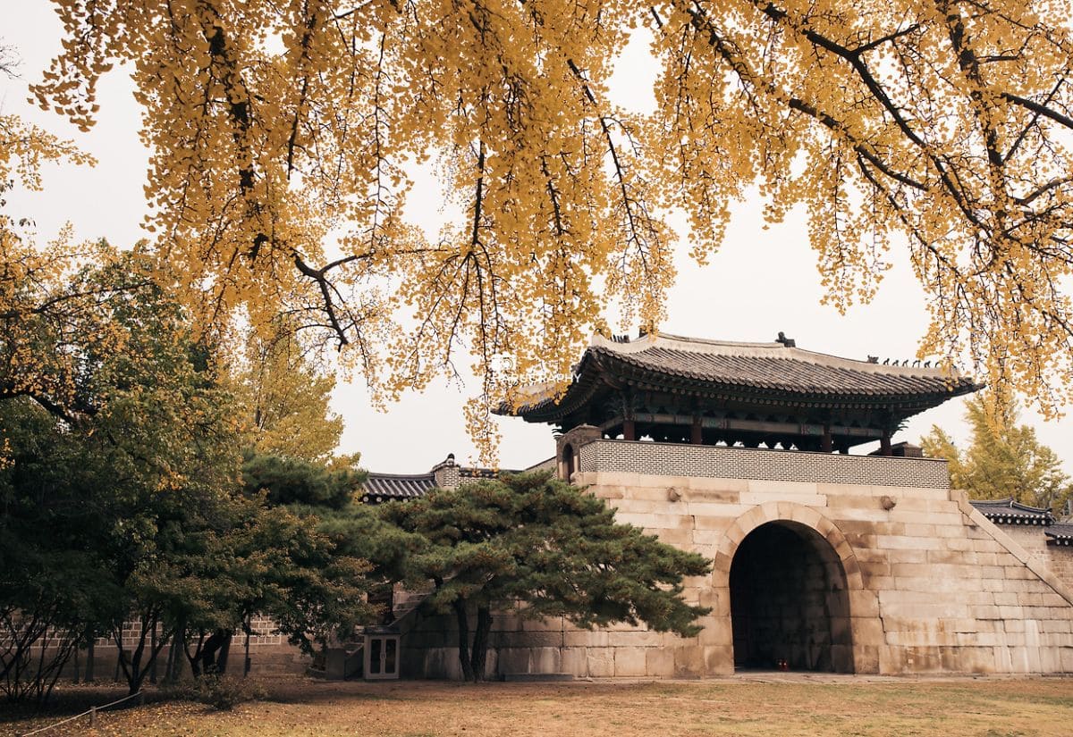 Cung điện Gyeongbokgung: Khám phá hoàng cung đẹp nhất Hàn Quốc 3 Cổng Geonchunmun ở phía Đông