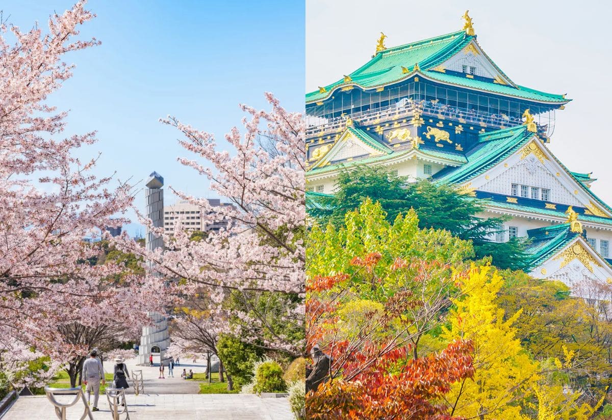 Du lịch Nagoya - Kinh nghiệm từ A–Z cho chuyến đi hoàn hảo 2026 2 Mùa xuân và mùa thu ở thành phố Nagoya